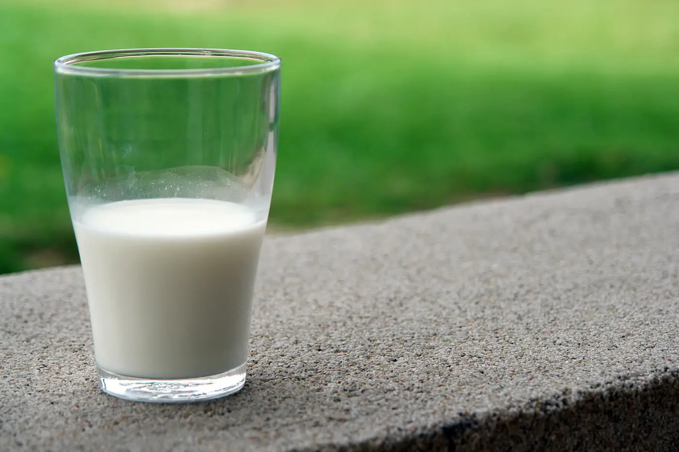 dairy Dairy